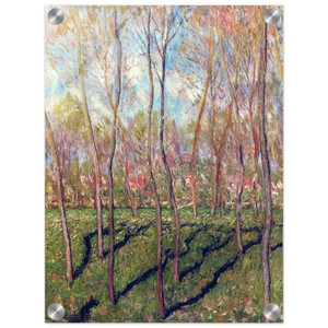 claude monet  Trees in Winter View of Bennecourt Acrylic Print