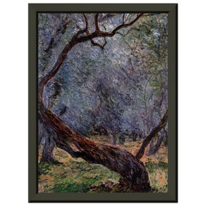 claude monet  Olive Trees Study Premium Metal Framed Art Print / Poster