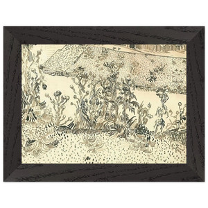 Vincent van Gogh Thistles Along the Roadside Wood Framed Art Print
