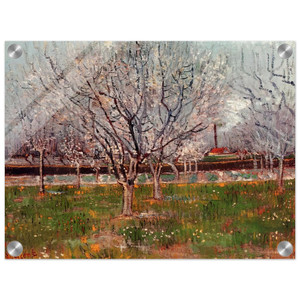 Vincent van Gogh  Orchard in Blossom Plum Trees Acrylic Print