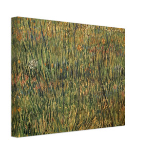 Vincent van Gogh  Pasture in Bloom Canvas