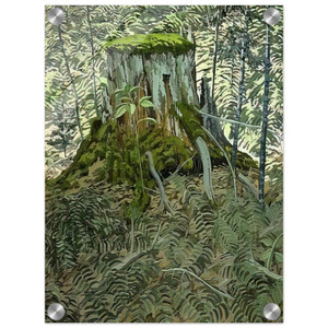 Neil Welliver  Stump and Ferns  Contemporary Realism Acrylic Print