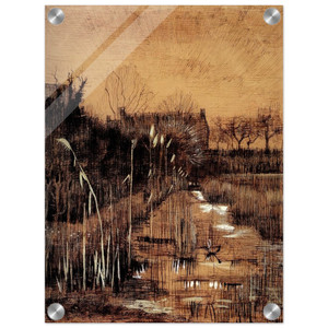 Vincent van Gogh  Ditch Acrylic Print