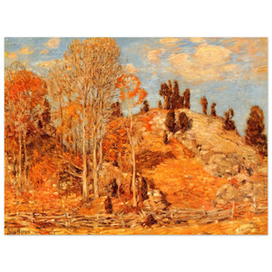 Childe Hassam  The Cedar Lot Old Lyme Aluminum Print