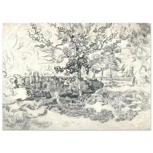 Vincent van Gogh  Garden of the Asylum Fine Art Poster / Art Print