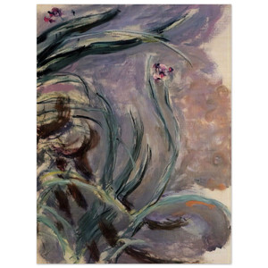 claude monet  Irises Wood Print