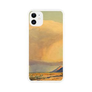 Maynard Dixon - DROUGHT AND DOWNPOUR 1944 Clear case