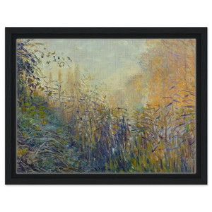 claude monet  Study Rushes at Argenteuil Framed Canvas
