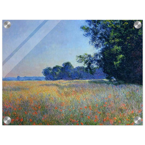 claude monet  Oat and Poppy Field Giverny Acrylic Print