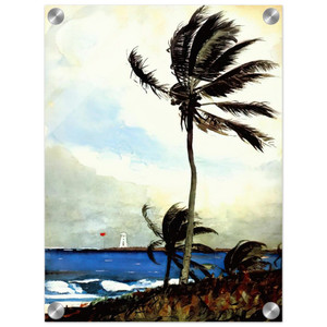 Winslow Homer  PALM TREE NASSAU Acrylic Print