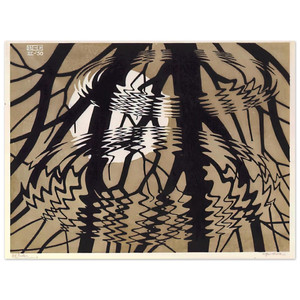 MC Escher  RIPPLED SURFACE COLOUR Aluminum Print
