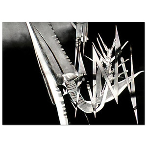 James Rosenquist  The Prickly Dark Fine Art Poster / Art Print