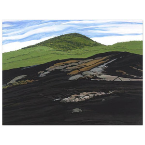 Neil Welliver  Blueberry Burn Moreys Hill  1997 Aluminum Print