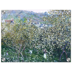 claude monet  Vetheuil Flowering Plum Trees Acrylic Print