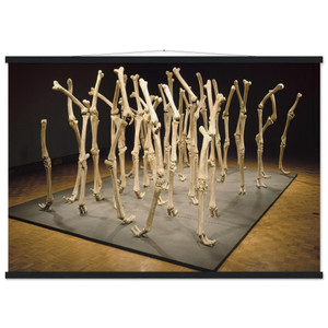 Nancy Graves VARIABILITY OF SIMILAR FORMS 1970 Matte Poster with Hanger