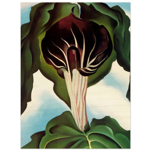 Georgia OKeeffe  JackinthePulpit III Wood Print