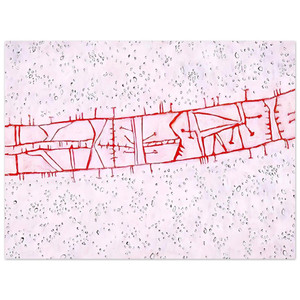 Gene Davis  Bridge  1952 Aluminum Print