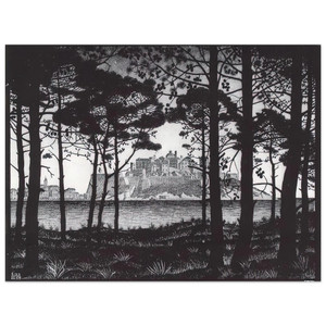 MC Escher  PINETA OF CALVI CORSICA Aluminum Print