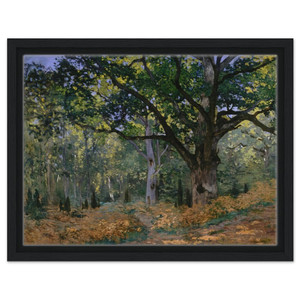 claude monet  The Bodmer Oak Fontainebleau Framed Canvas
