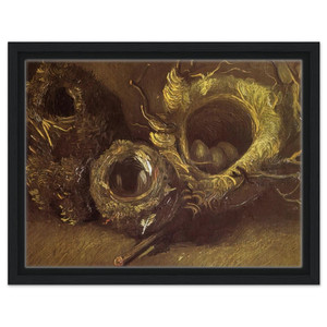 Vincent van Gogh  Still Life with Three Birds Nests Framed Canvas