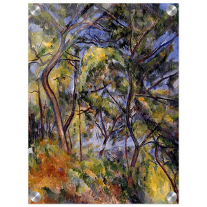 Paul Cezanne  Forest N3 Acrylic Print