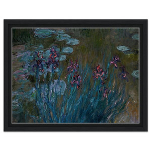 claude monet  Irises and WaterLilies Framed Canvas