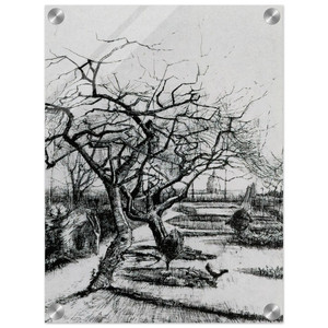 Vincent van Gogh  Parsonage Garden Acrylic Print