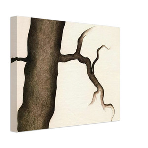 Georgia OKeeffe  Drawing III Canvas