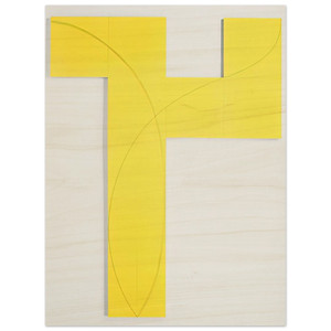 Robert Mangold  COLUMN STRUCTURE IX 2006 Wood Print