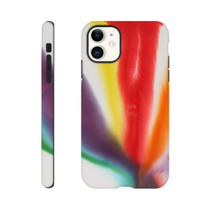 Paul Jenkins - Phenomena Compass Bearing - 1979 Tough case