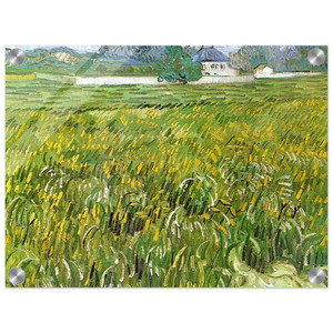 Vincent van Gogh  Wheat Field at Auvers with White House Acrylic Print