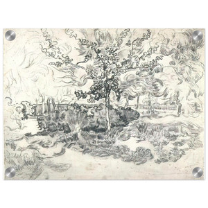 Vincent van Gogh  Garden of the Asylum Acrylic Print