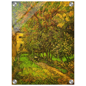 Vincent van Gogh  The Garden of SaintPaul Hospital Acrylic Print