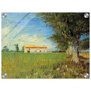 Vincent van Gogh  Farmhouse in a Wheat Field Acrylic Print