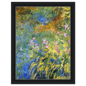claude monet  Irises 3 Framed Canvas