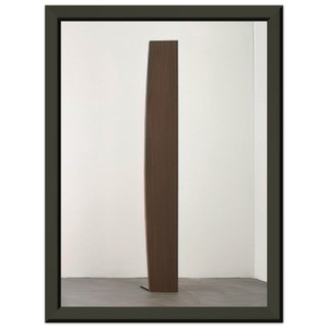 Ellsworth Kelly  Curve XXXVI Premium Metal Framed Art Print / Poster