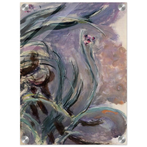 claude monet  Irises Acrylic Print