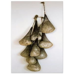 Eva Hesse  UNTITLED OR NOT YET 1966 Fine Art Poster / Art Print