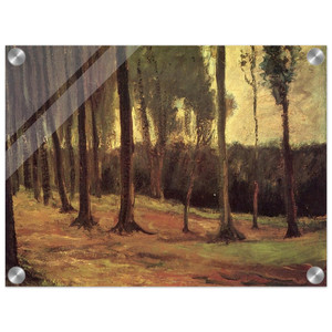 Vincent van Gogh  Edge of a Wood Acrylic Print
