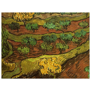 Vincent van Gogh  Olive Trees against a Slope of a Hill Wood Print