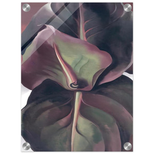 Georgia OKeeffe  Canna Leaves Acrylic Print