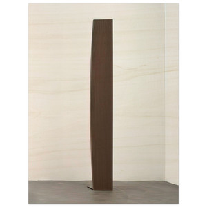 Ellsworth Kelly  Curve XXXVI Wood Print