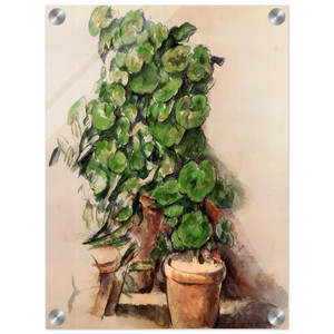 Paul Cezanne  Pots of Geraniums Acrylic Print