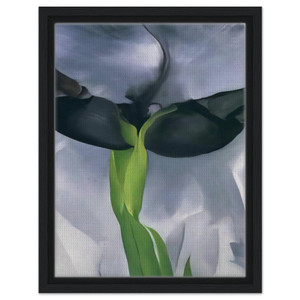 Georgia OKeeffe  Iris 7 Framed Canvas