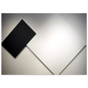 Ellsworth Kelly  White Black Fine Art Poster / Art Print