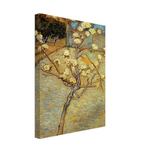Vincent van Gogh  Pear Tree in Blossom Canvas