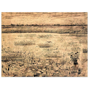Vincent van Gogh  Marsh with Water Lillies Aluminum Print