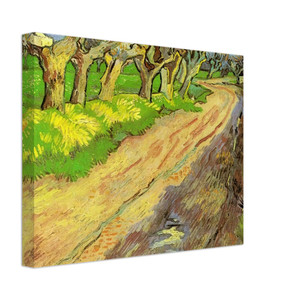 Vincent van Gogh  Pollard Willows Canvas