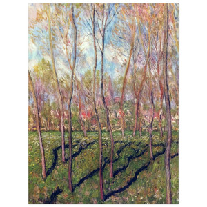 claude monet  Trees in Winter View of Bennecourt Aluminum Print