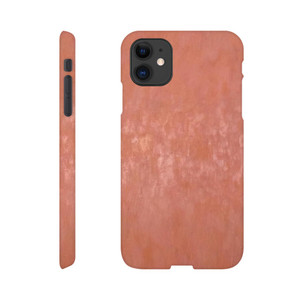 Marcia Hafif - Roman Painting XVIII Slim case